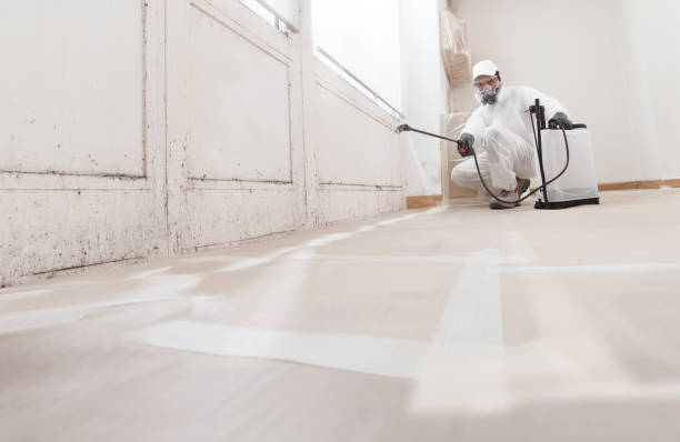 24/7 Emergency Commercial Mold Remediation experts in Muskegon, MI