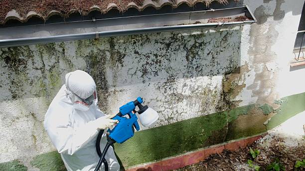 Top rated local Commercial Mold Remediation specialists in Muskegon, MI
